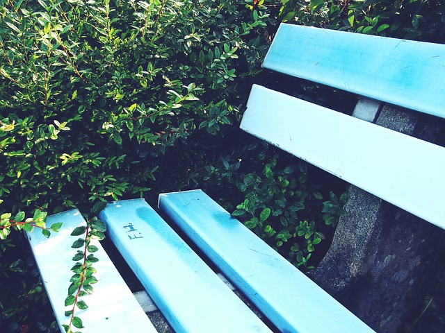 季在教练组 季在教练组