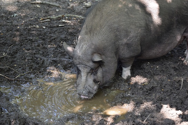 这其中包括 这其中包括