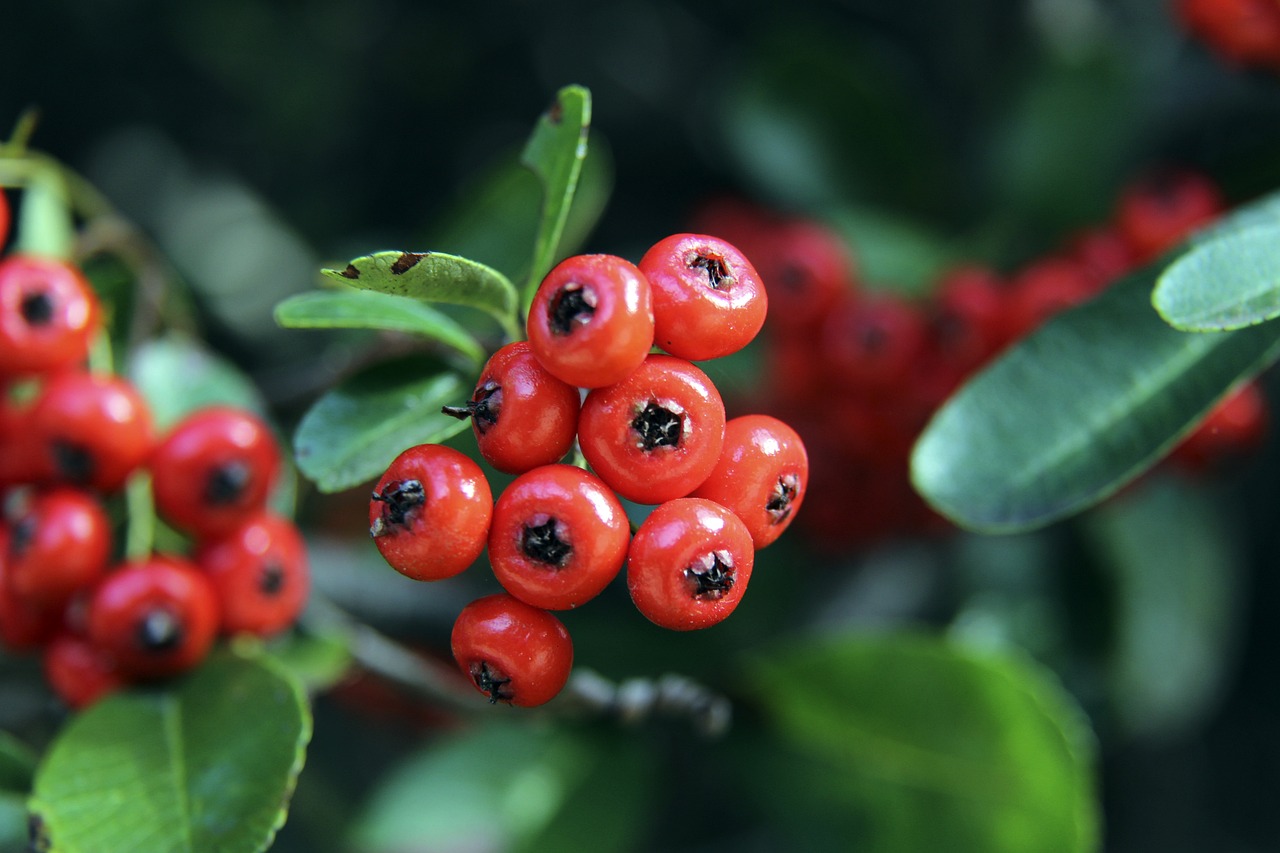 南京的气温 南京的气温