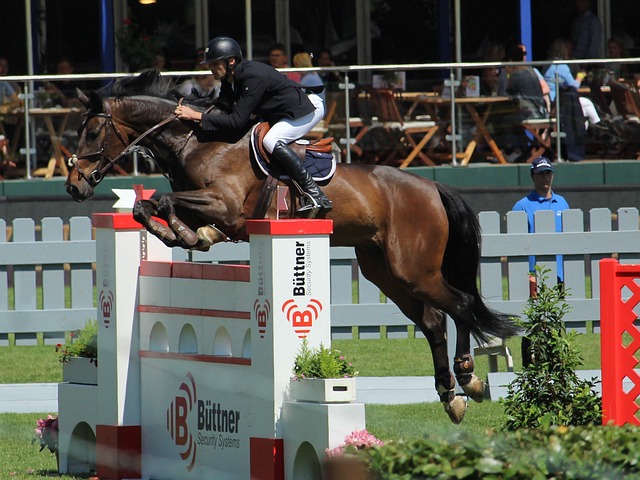 對未來的清 對未來的清