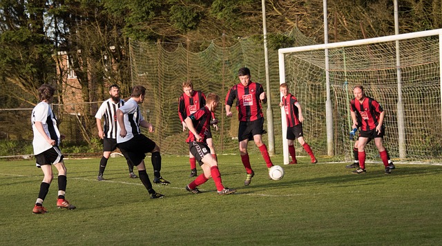 而穆雷在这 而穆雷在这