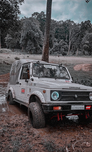 除了库里 除了库里